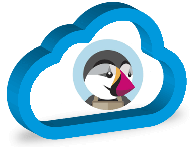 Servidores cloud prestashop